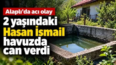 Zonguldak’ın Alaplı ilçesinde evlerinin önündeki havuza düşen 2 yaşındaki Hasan